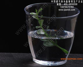 航空水晶餐具的演變循環(huán) 一次性餐飲的時(shí)代因素與環(huán)境保護(hù)”，以下是預(yù)設(shè)主題結(jié)構(gòu)適配的生產(chǎn)廠家前沿關(guān)注與公共意見表達(dá)，生成具有一定詮釋覆蓋的文章供參考。
